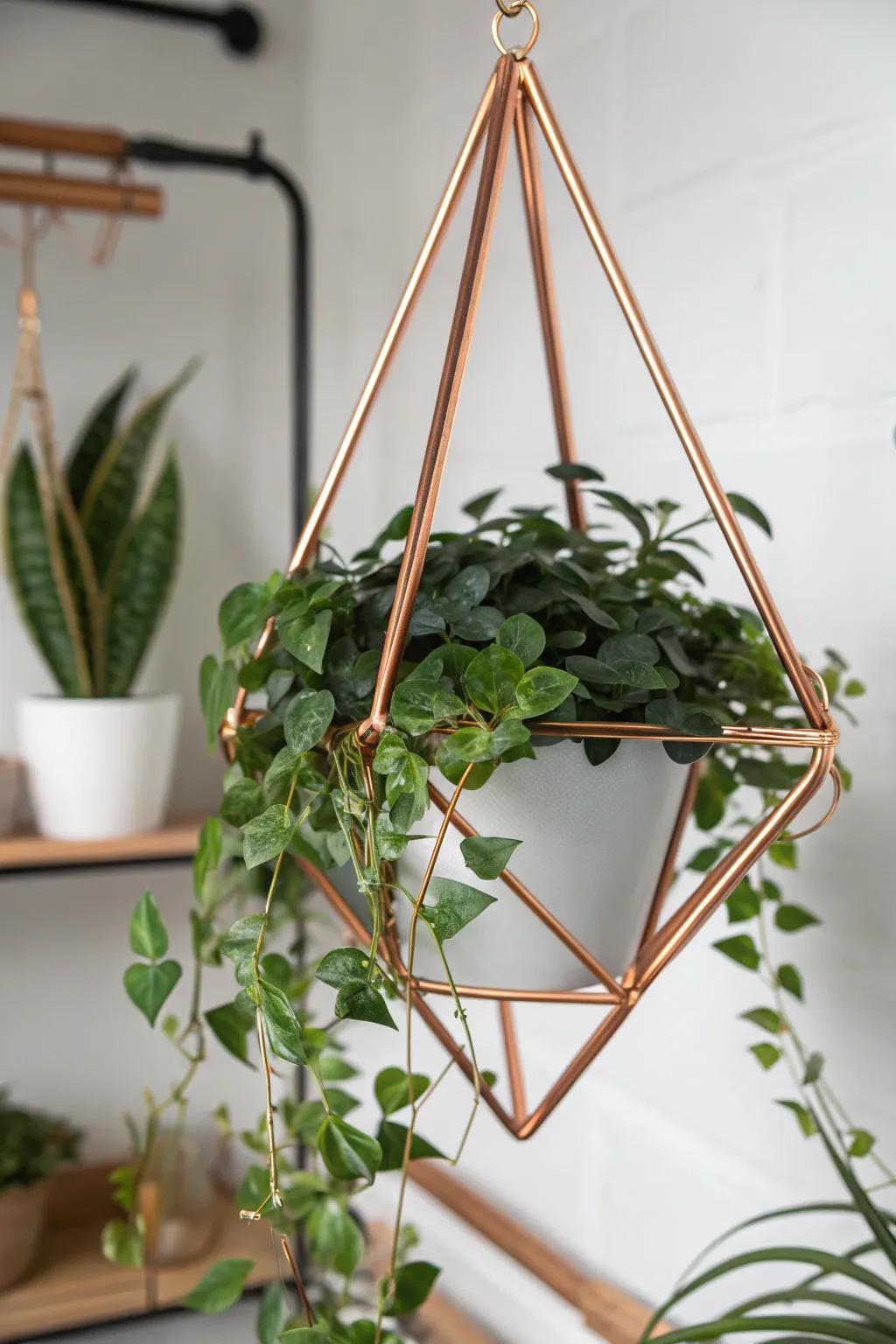 Elevate your greens with this chic copper pipe plant holder, a perfect blend of style and craftsmanship.