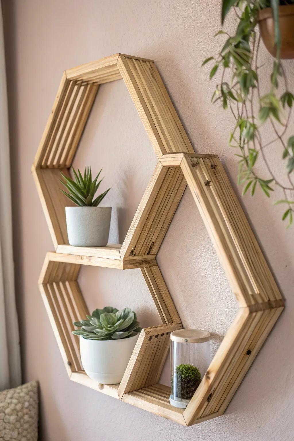 Elevate your wall decor with this stunning DIY hexagon shelf – where simplicity meets artistry.