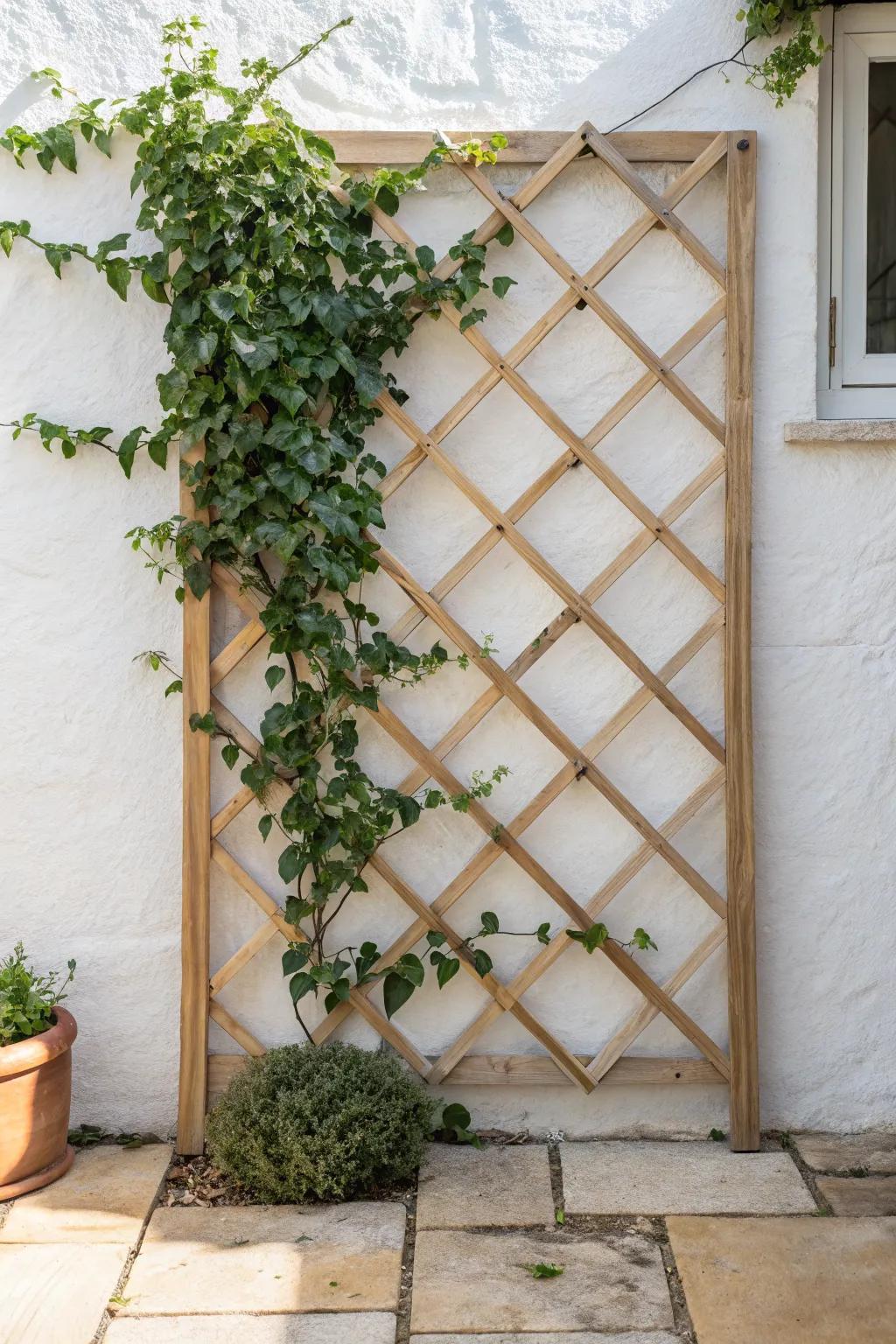 A slim trellis + climbing vine turns a bare courtyard wall into lush vertical privacy—no floor space lost.