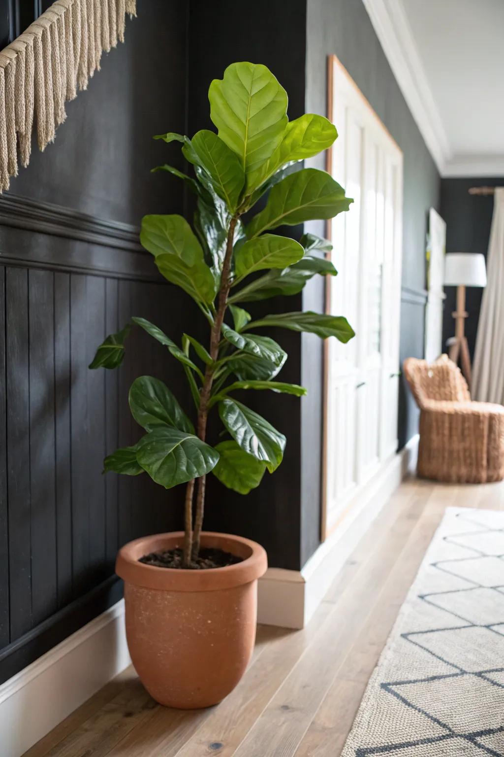 A single tall plant instantly lifts a black hallway—fresh, soft, and effortlessly chic.