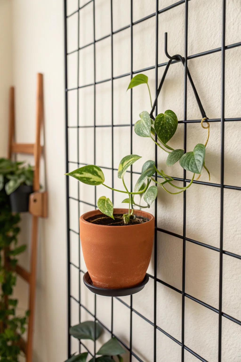 Turn vertical space into a mini plant gallery with a chic wall grid and clipped planter.