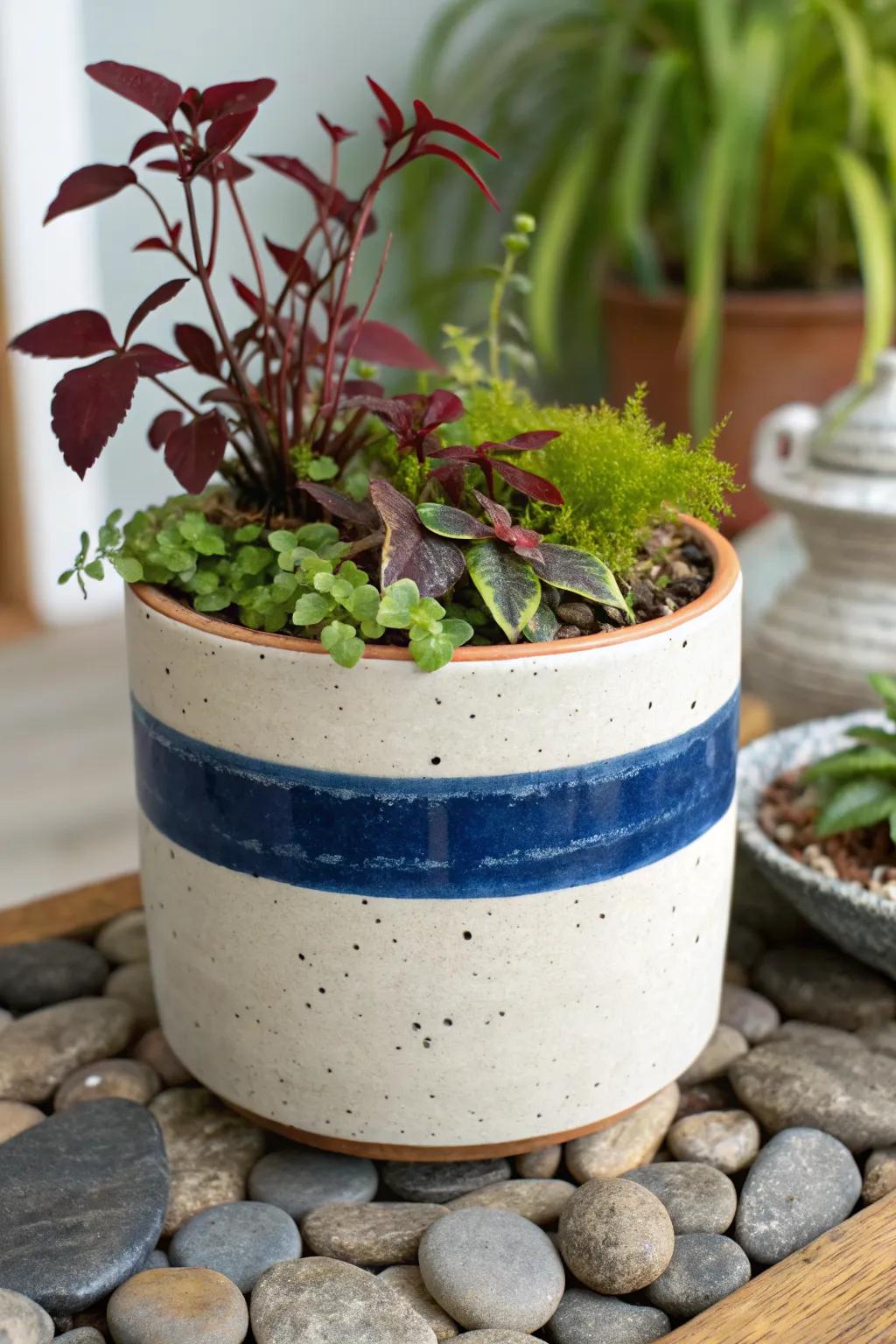 A self-watering mixed planter keeps Creeping Jenny lush and bright, even when you miss a watering.