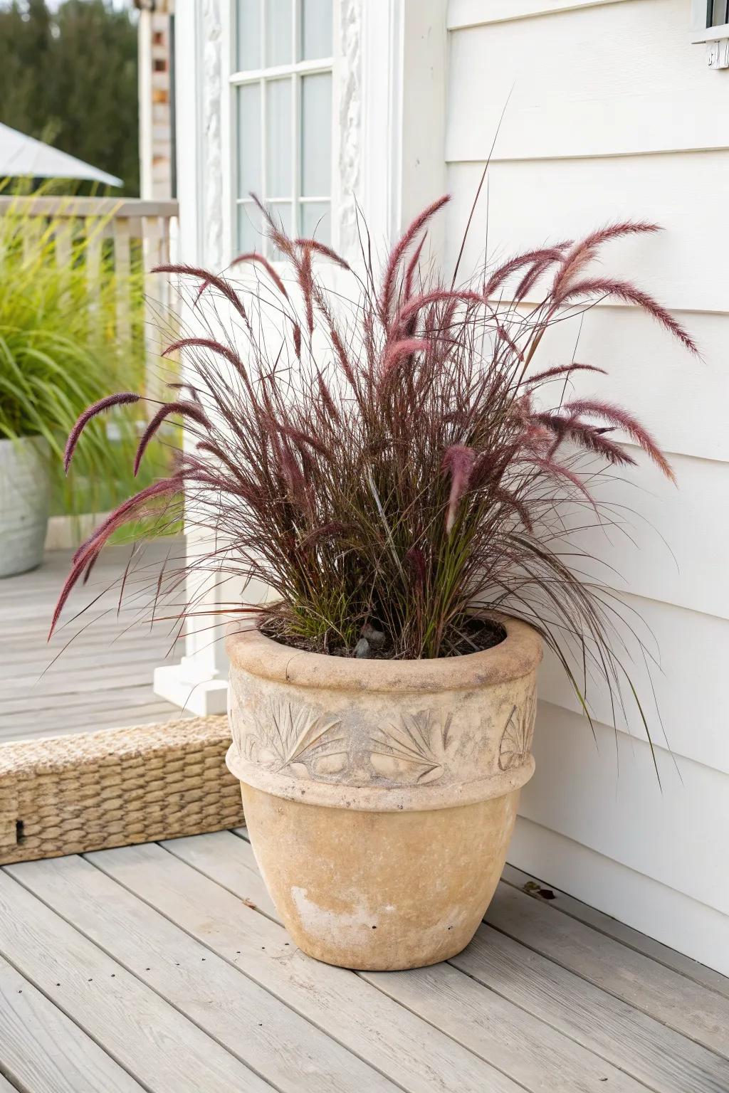Ornamental grasses: big texture, tiny effort—perfect for a low‑maintenance small garden.