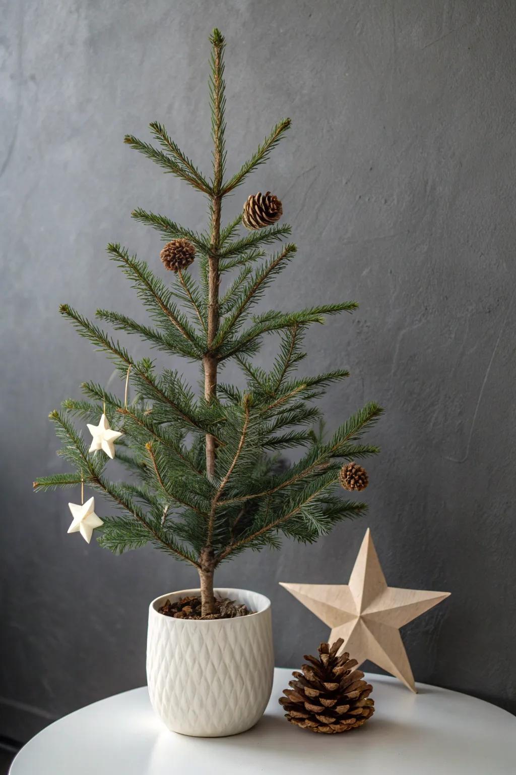 Pinecones + handmade paper stars turn a tiny minimalist tree into cozy Scandinavian magic.