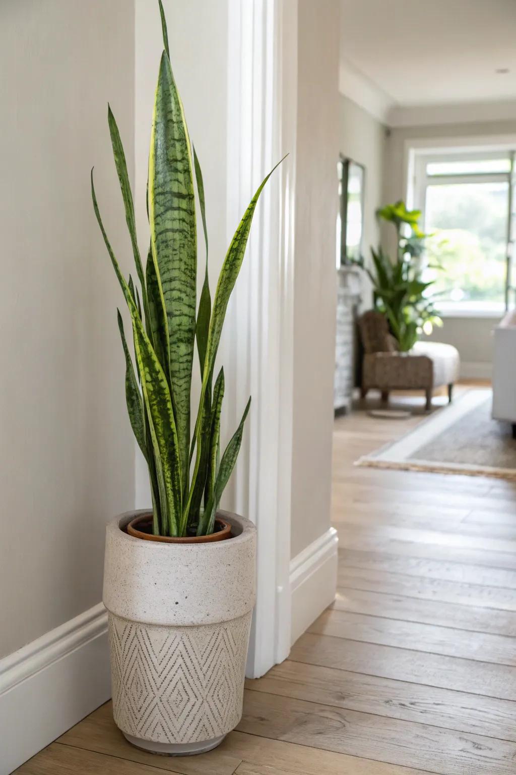 A vertical plant moment that adds fresh hallway style without taking up precious space.