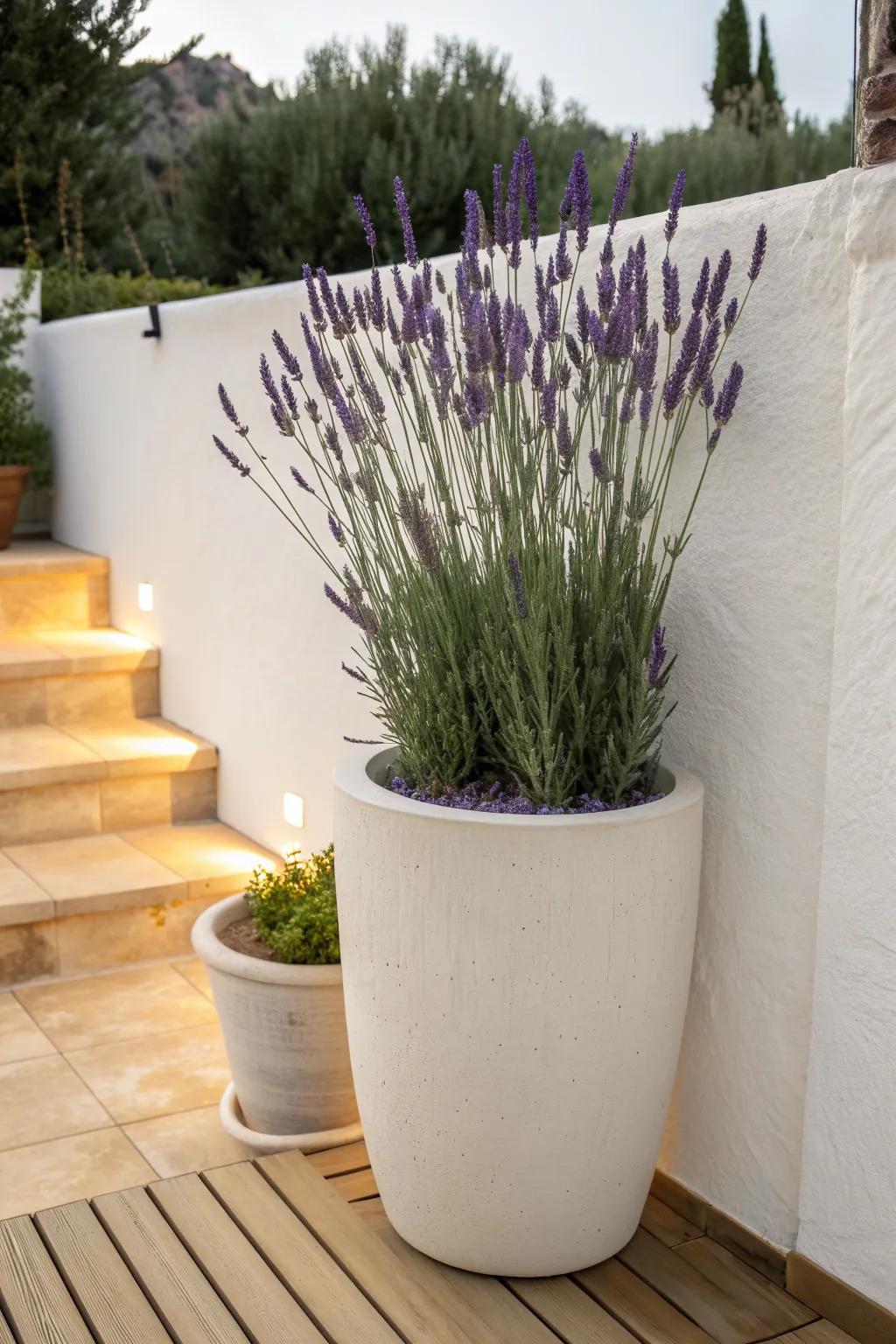 A tall lavender planter in the corner creates a dreamy, space-saving privacy screen.