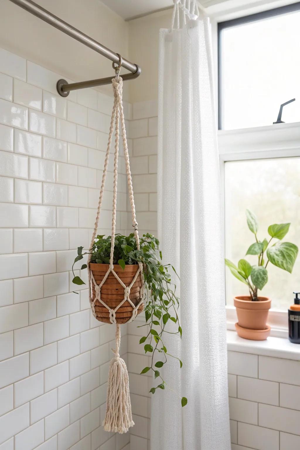 Turn your shower rod into a mini plant bar—instant spa vibes for tiny bathrooms.
