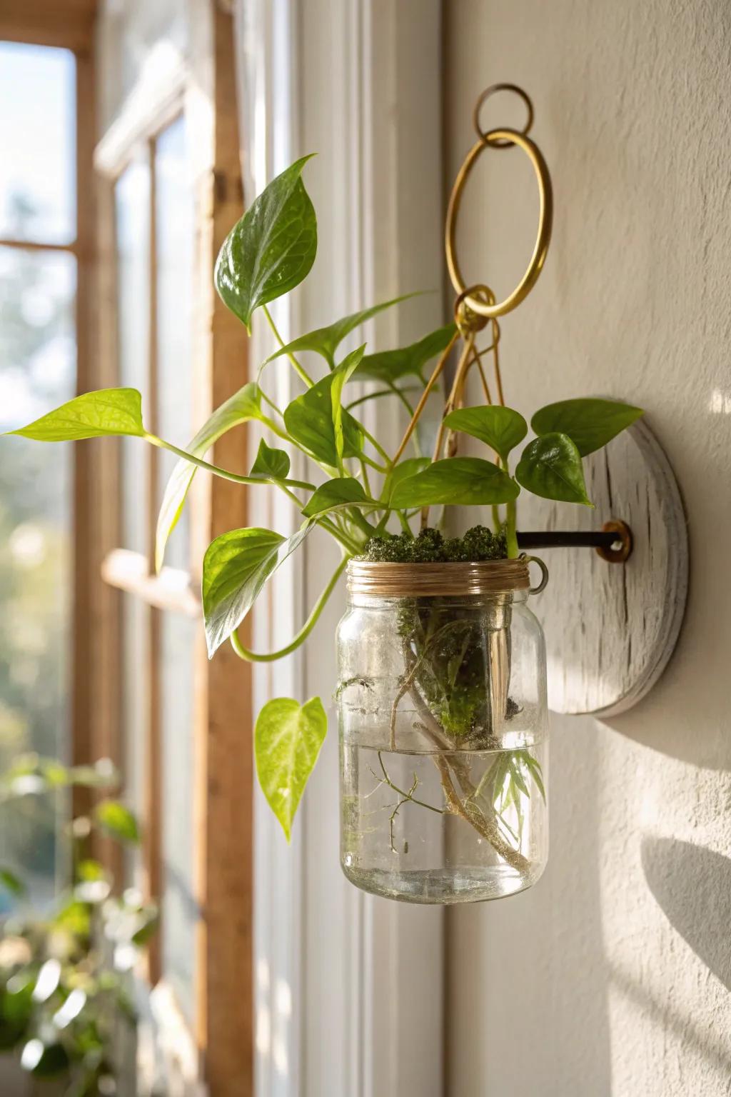 Mounted glass jar propagation—watch roots grow like a calming, living mini science display.