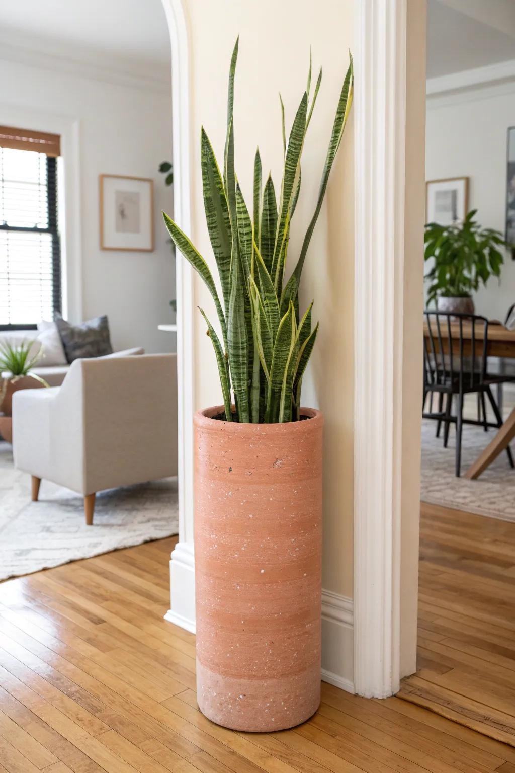 A tall planter creates a light, tool-free divider that keeps your small space open and airy.