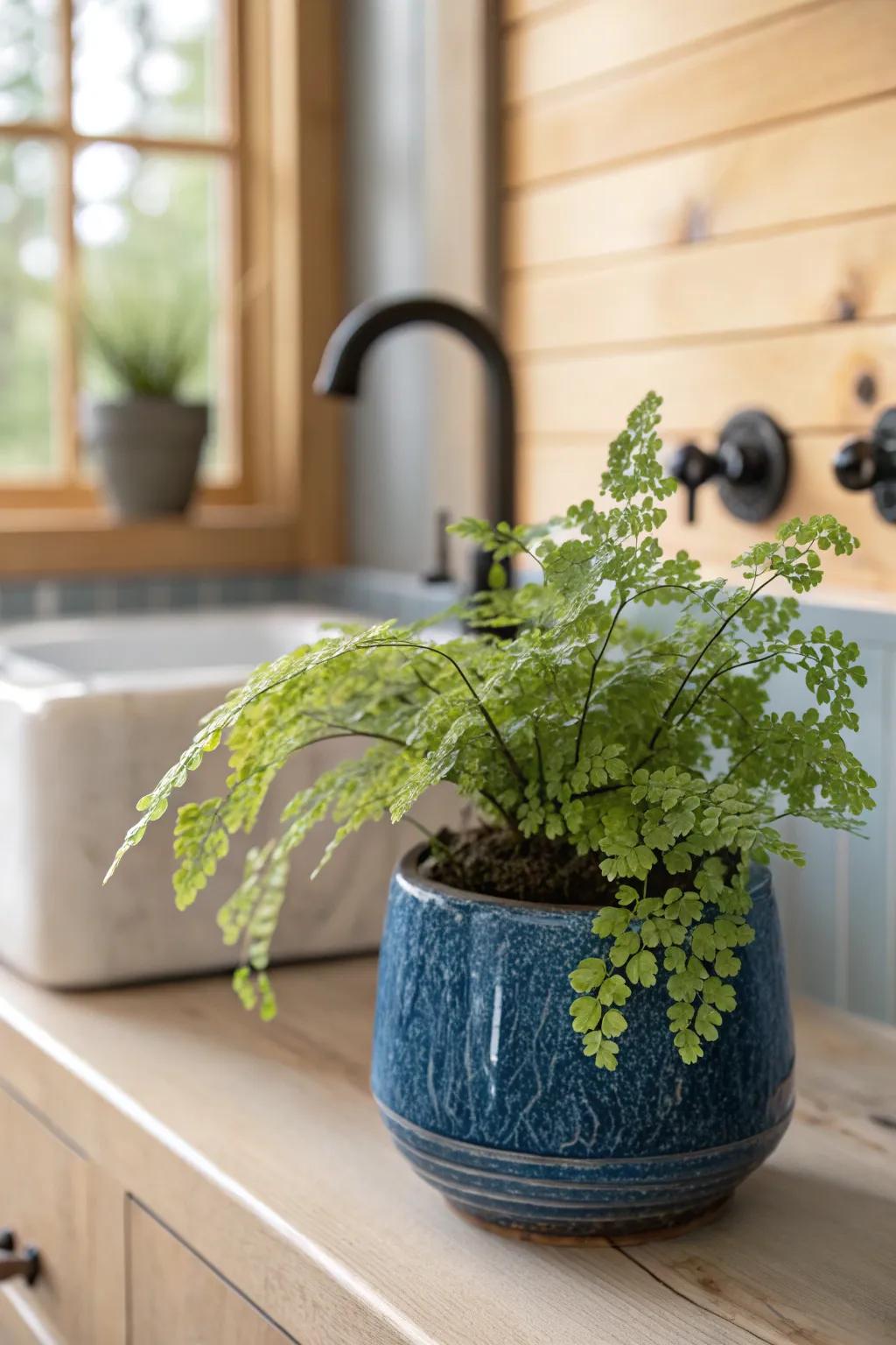 One tiny fern in a bold ceramic pot instantly freshens a woodsy cabin bathroom nook.