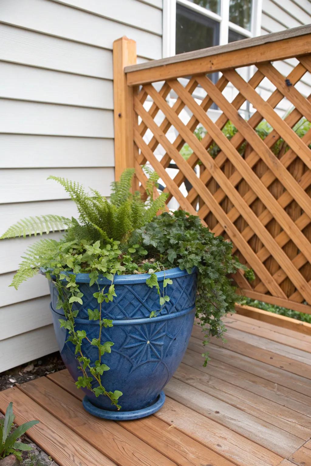 Create a chic green skirt: cedar lattice + bold planters for a polished tiny home base.
