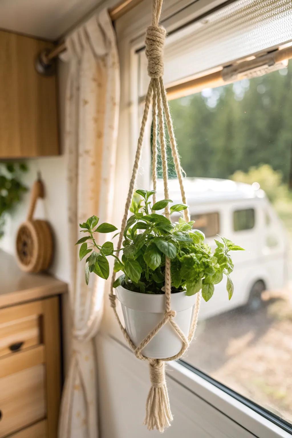 A sunlit hanging herb pot by the camper window—fresh flavor, tiny-space charm, zero clutter.