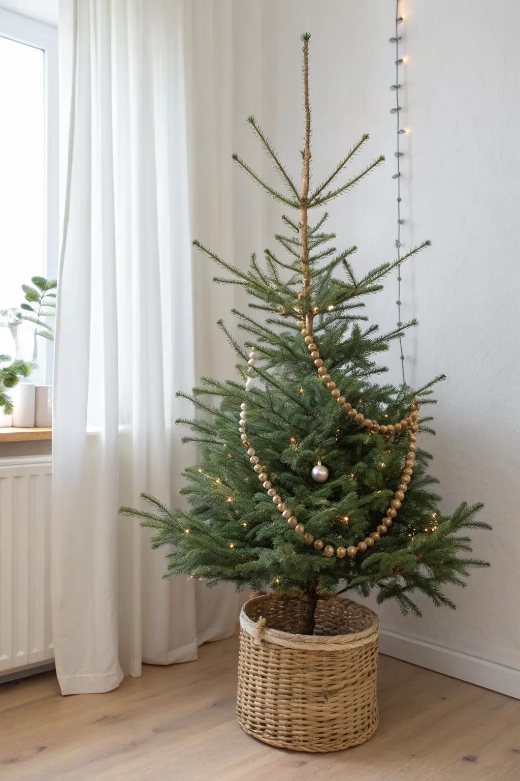 A single bead garland draped vertically turns a slim tree into a chic designer moment.