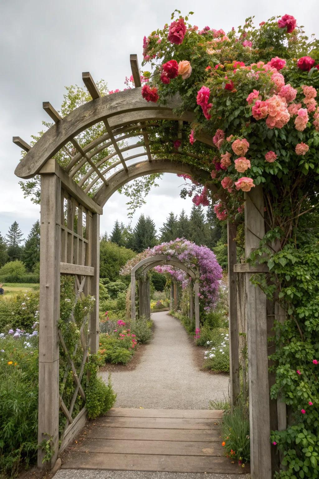 Step into a world of color and fragrance with this enchanting blooming archway.