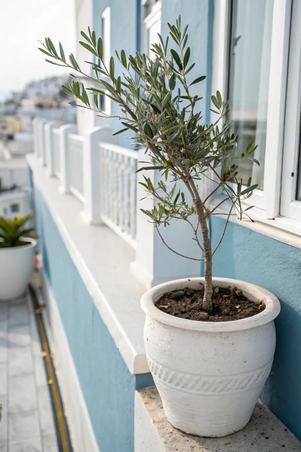 Coastal blue walls with crisp white trim—an instant airy, seaside vibe for a tiny balcony.