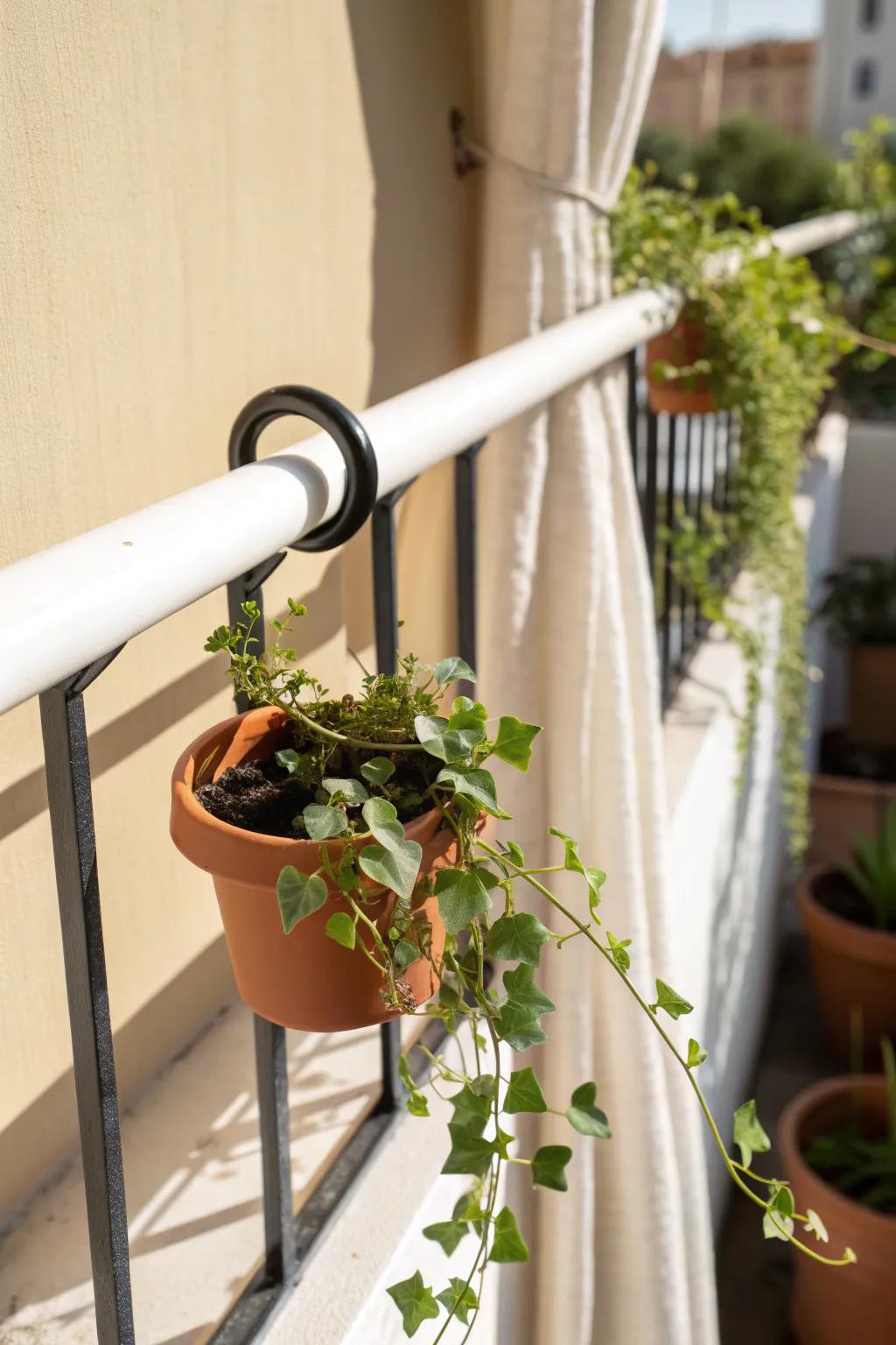 Single clip-on pot rings bring a neat repeat look—easy to slide and swap for better sun.