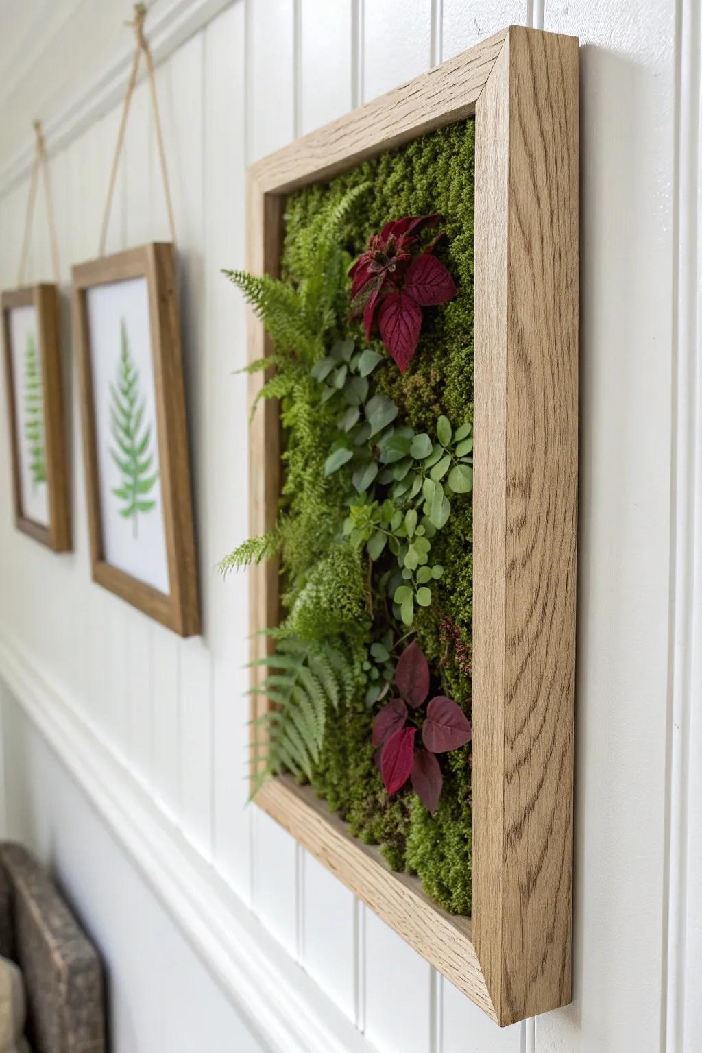 Framed living plant art: a lush green wall statement that makes small hallways feel curated.
