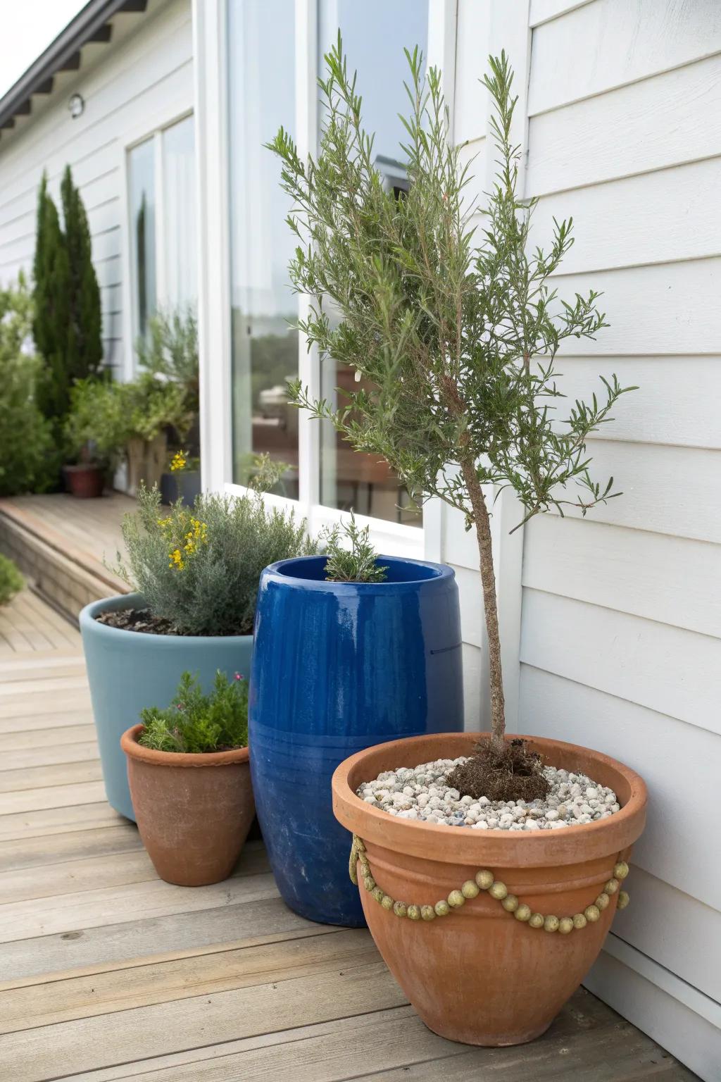 A styled trio of pots brings instant greenery—no digging, just flexible tiny-home curb appeal.