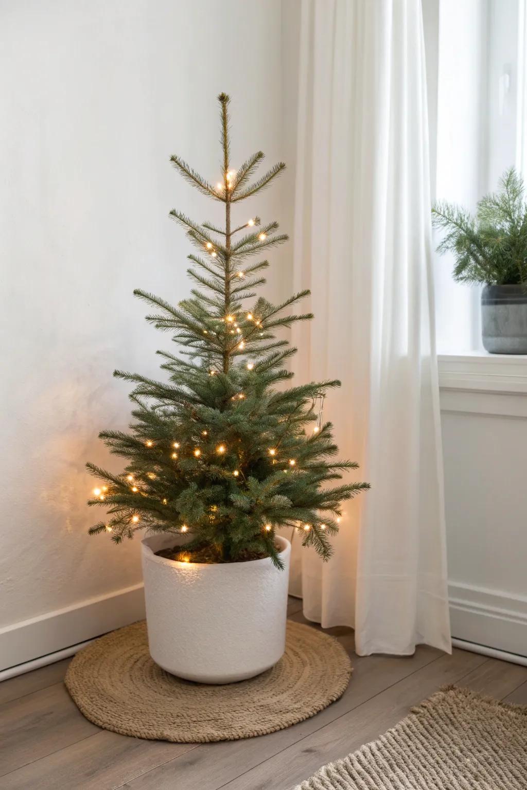 A tiny tree + warm white lights only—minimal, cozy, and effortlessly chic for small spaces.