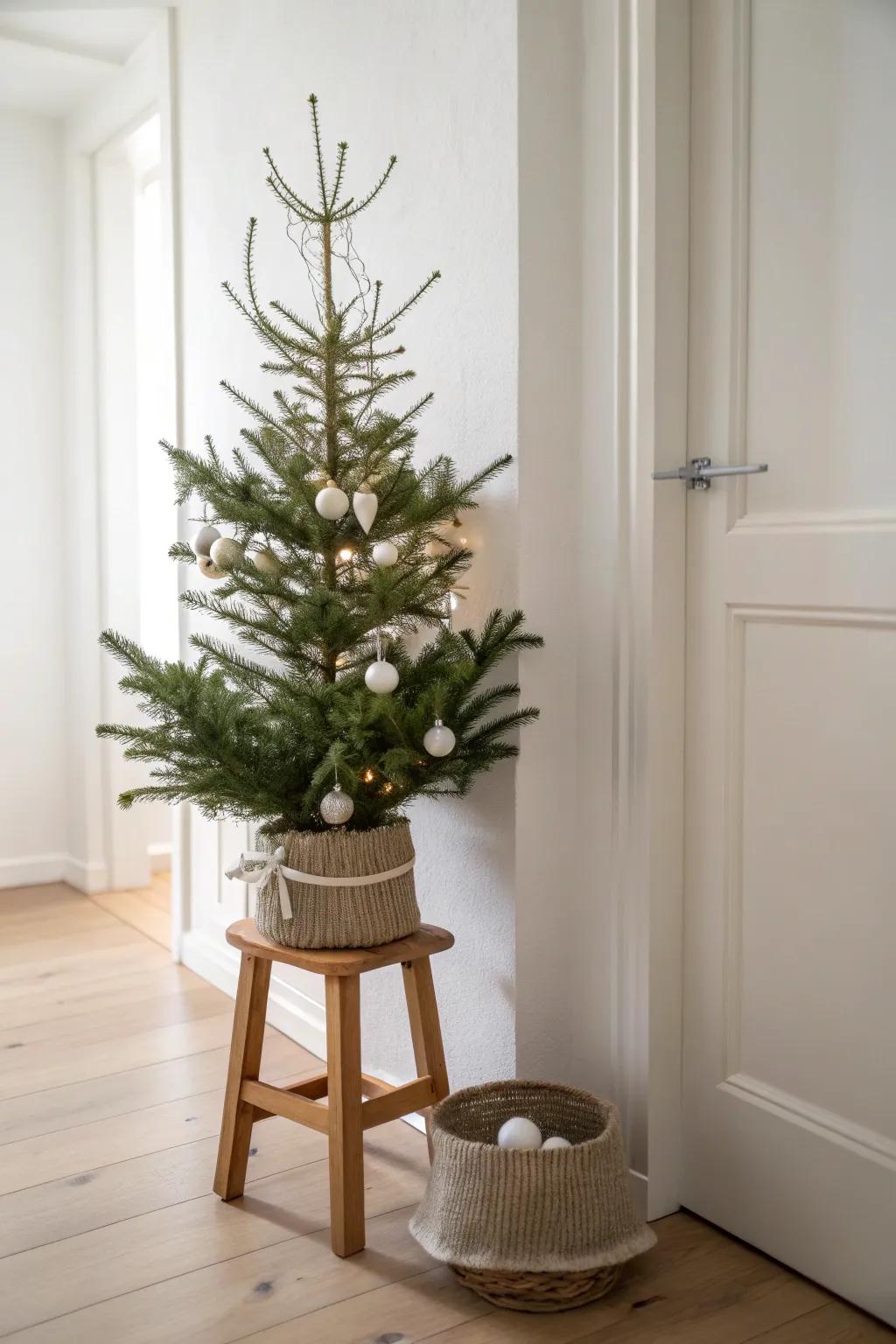 Mini tree on a slim stool—hallway “tree energy” with almost zero floor space.