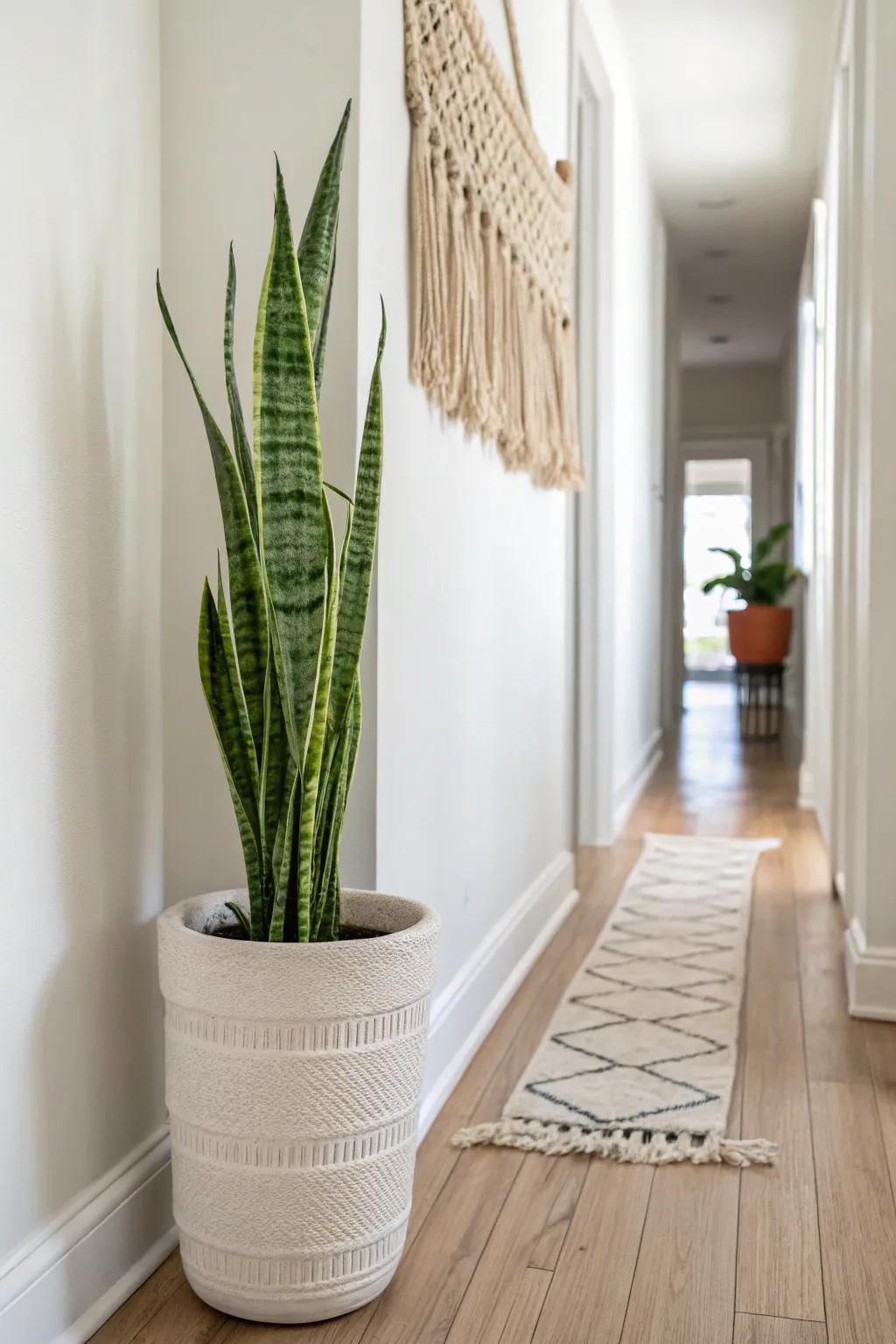 A tall, slim plant at the hall’s end adds instant life—minimal effort, maximum style.