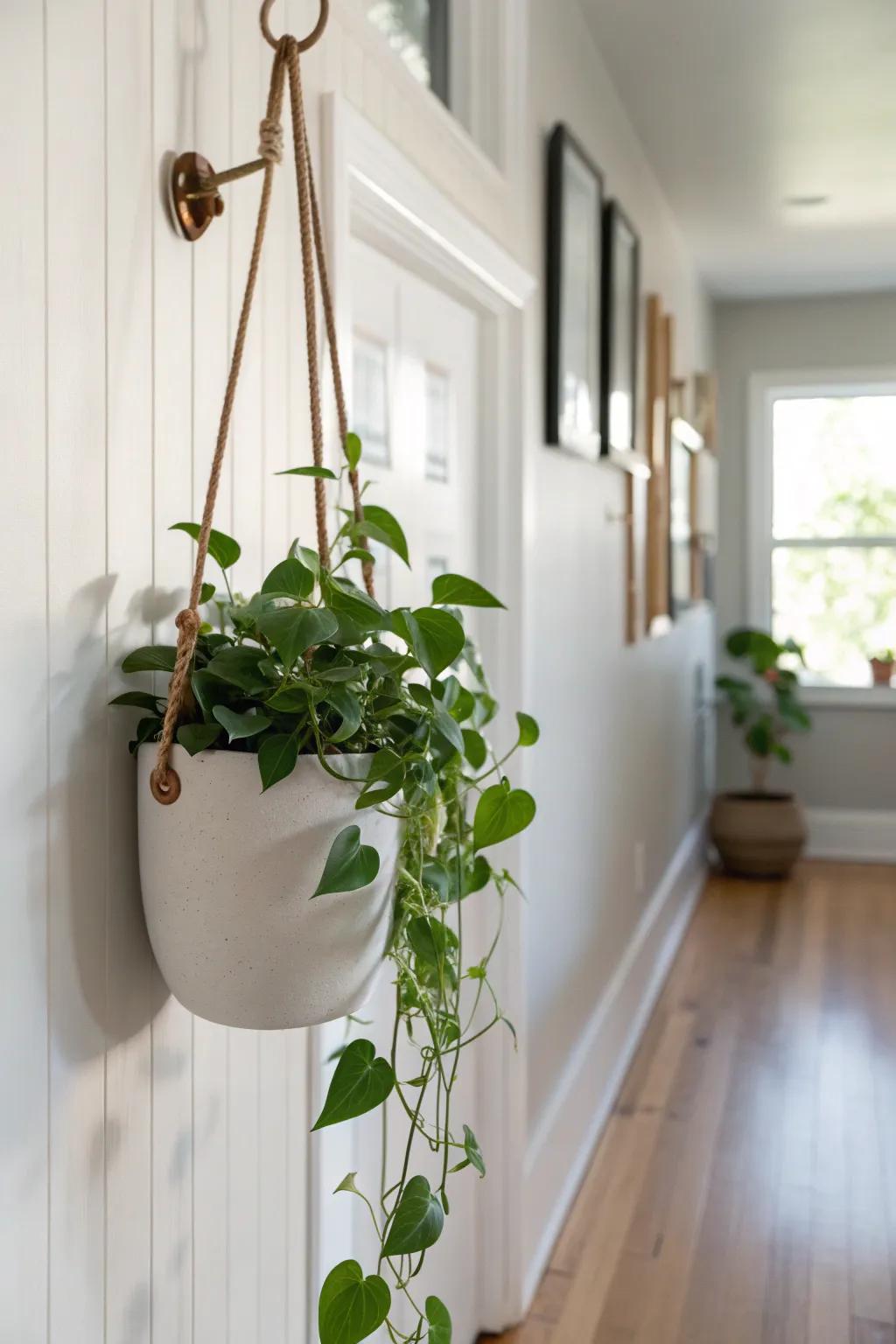 A slim rod + S-hook planter adds hallway greenery you can rearrange in seconds—no fuss.
