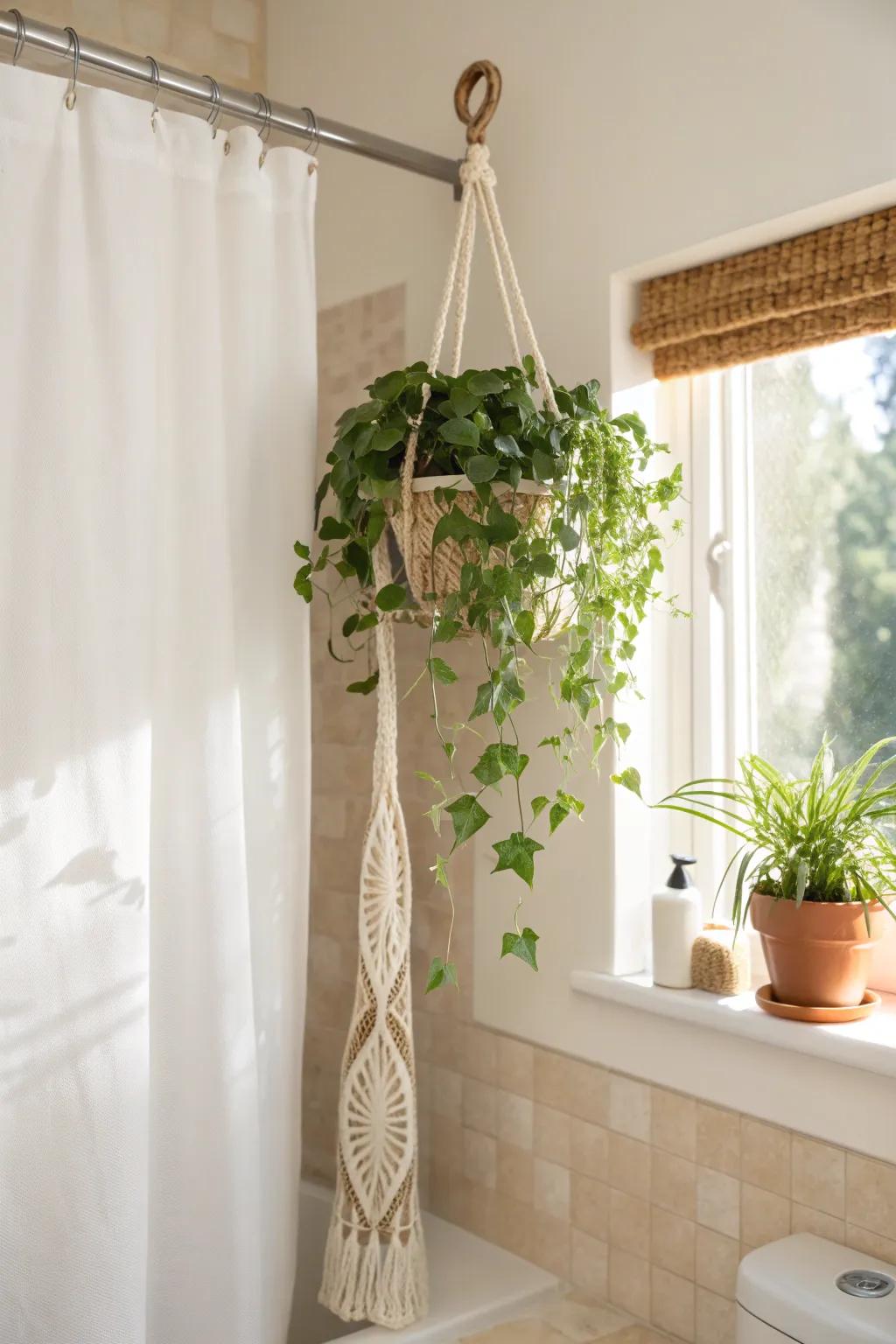Hang a trailing plant to lift the greenery up and keep tiny bathroom counters clear.