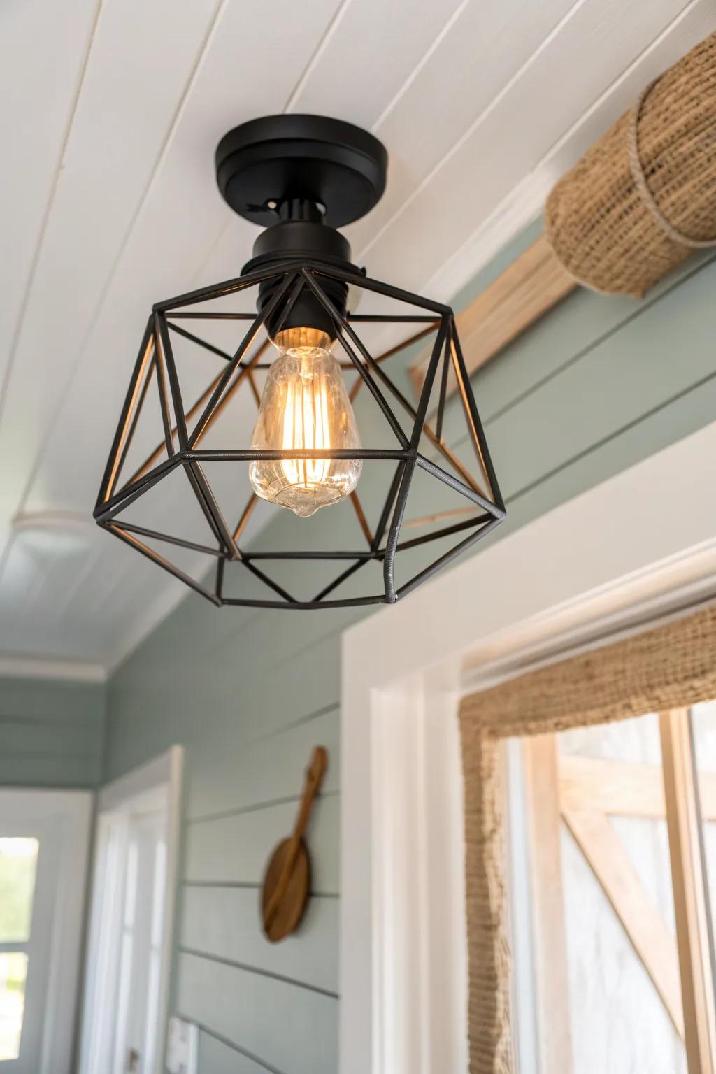 Matte black caged flush mount: low-profile industrial charm that hides dust in busy entries.