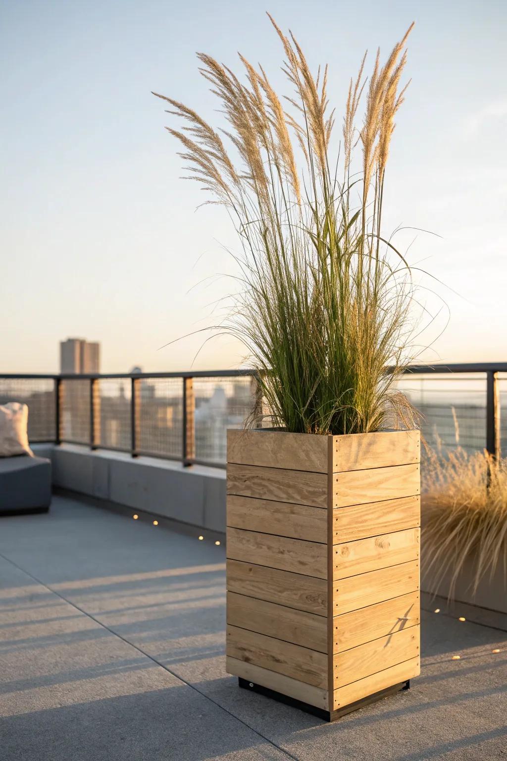 A single tall planter of airy grasses adds rooftop privacy—minimal, warm, and cozy.