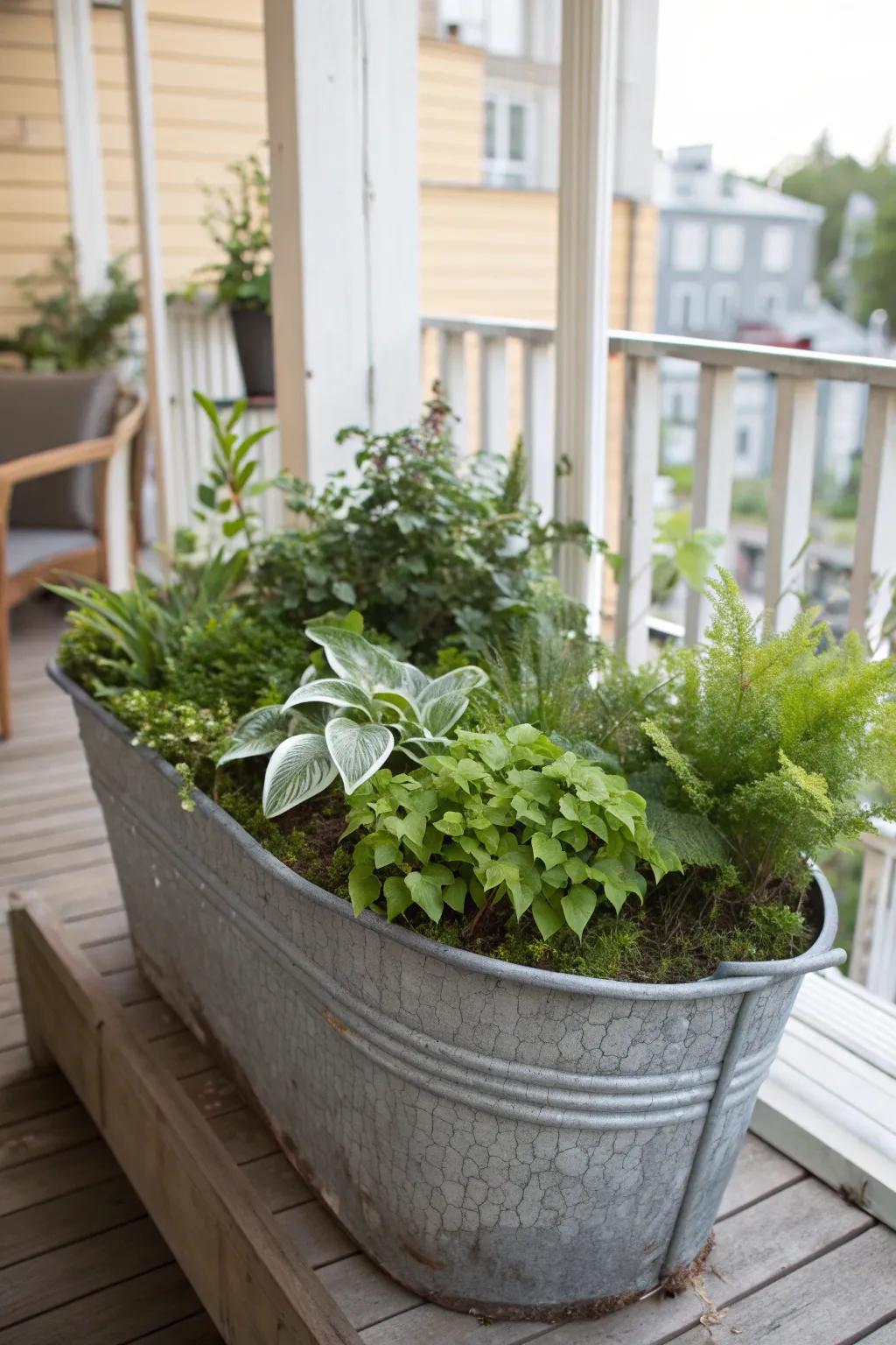 A lush shade-friendly trough planter that turns a dim balcony corner into a calm green oasis.