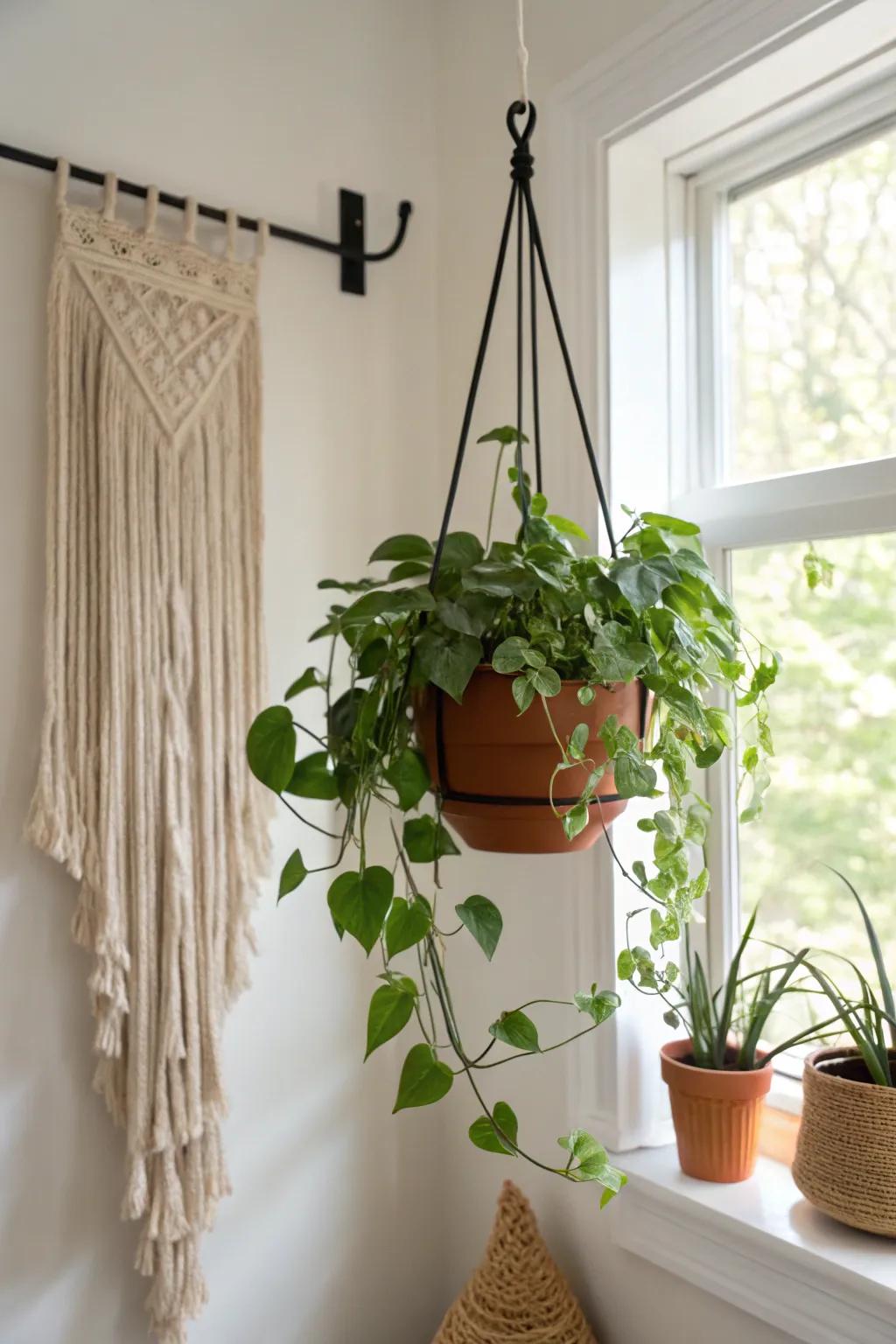 A cascading hanging plant transforms a plain corner into soft, living wall decor.