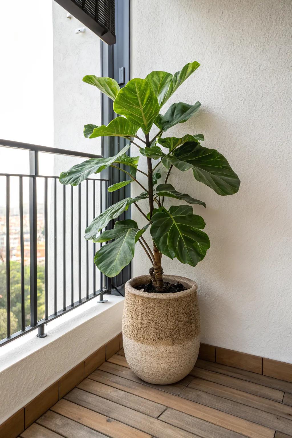 One bold plant turns a tiny balcony into a lush retreat—no clutter, just instant life.