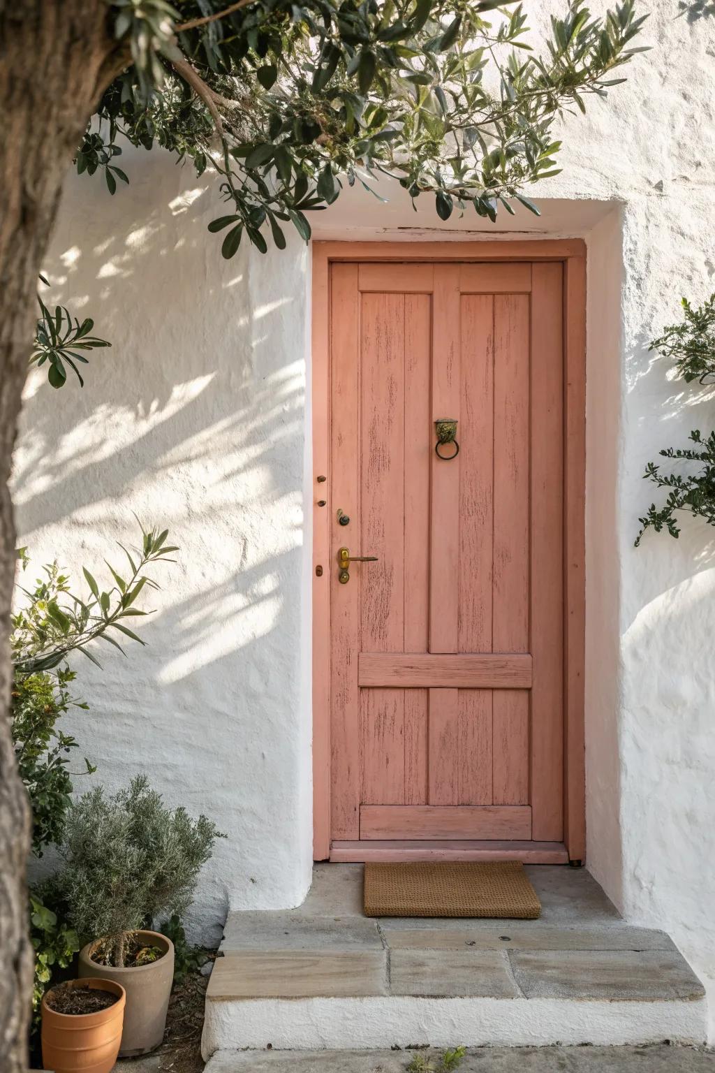 A blush-coral front door adds instant charm—minimal lines, maximum curb appeal for small stoops.
