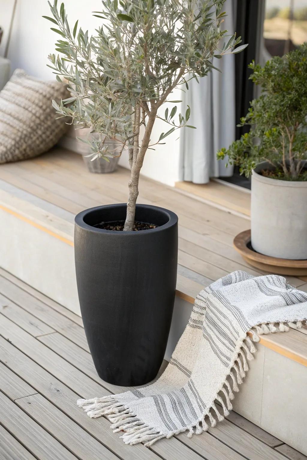 Wall in your small deck with tall planters—privacy, greenery, and space to breathe.