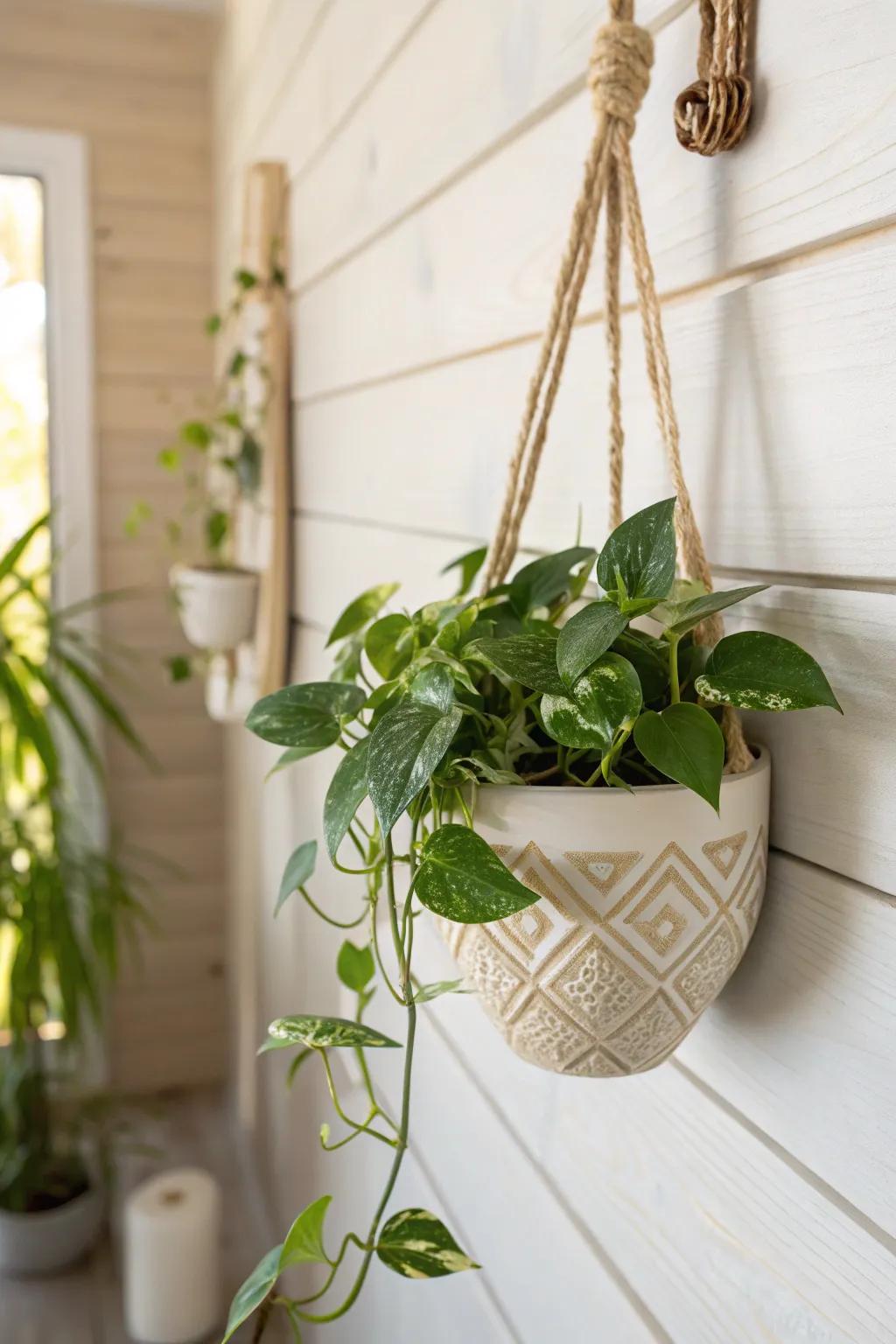 Wall-mounted trailing plant brings fresh greenery to a tiny shed office—no desk space lost.