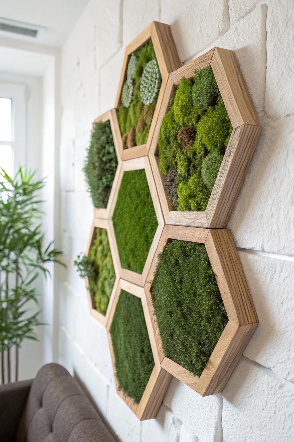 Hexagon moss tiles create a fresh, modular feature wall—minimal, natural, and easy to expand.